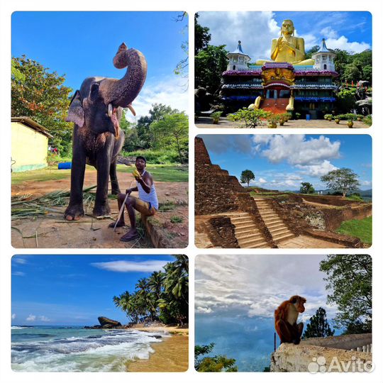 Туры / Горящие туры /Автобусные туры