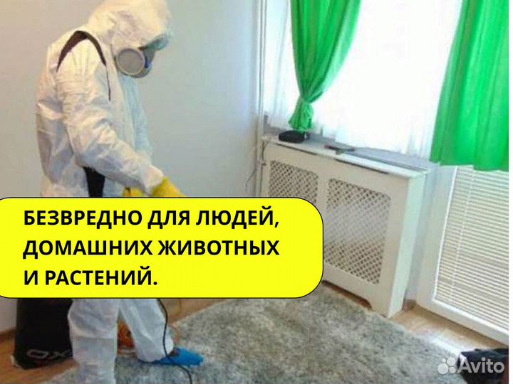 Уничтожение клопов, тараканов,плесени/ Дезинфекция