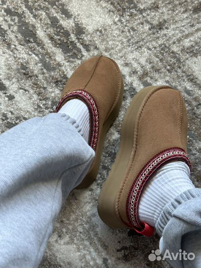 Ugg tazz tasman chestnut
