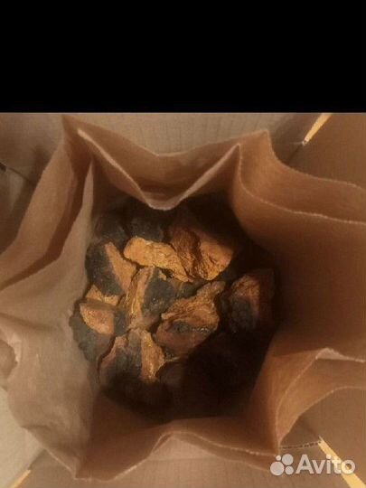 Чага березовый гриб сушеная