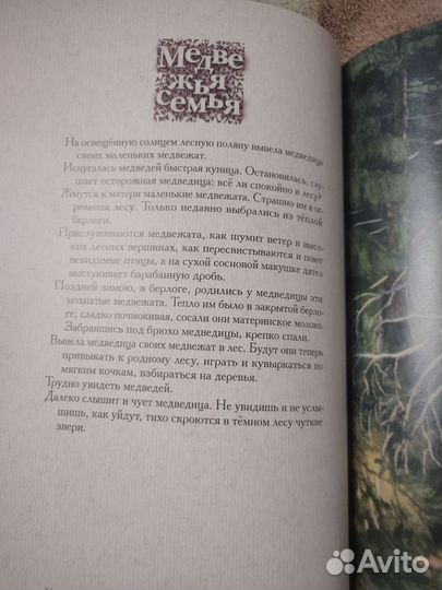 Год в лесу. Соколов-Микитов