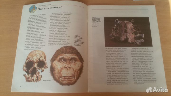 Детские книги из серии энциклопедий