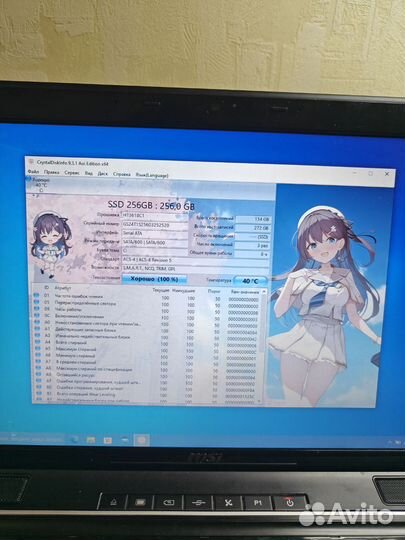 Огромный игровой ноутбук MSI GTA V Видеообзор