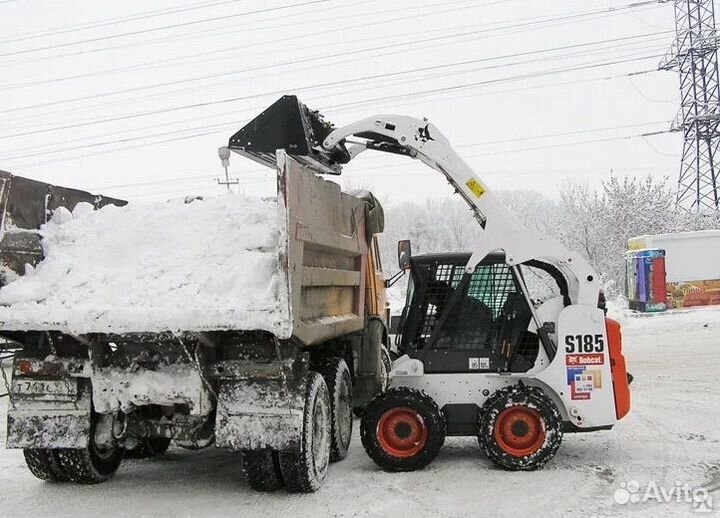 Аренда мини погрузчика бобкат