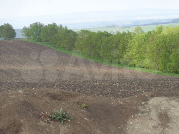 Участок 3,25 га (СНТ, ДНП)