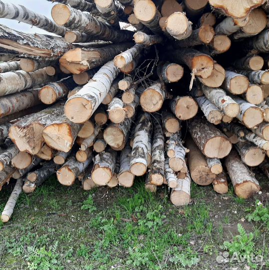 Сухие дрова