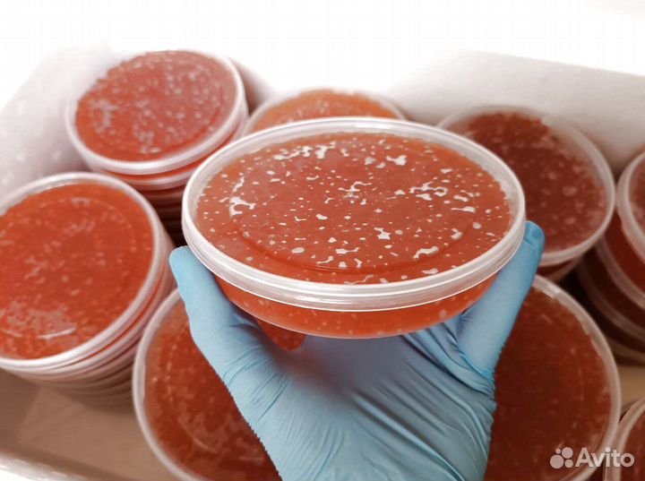 Красная икра горбуши