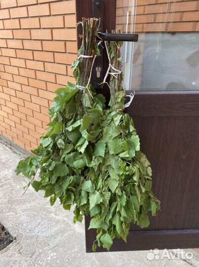 Веники берёзовые