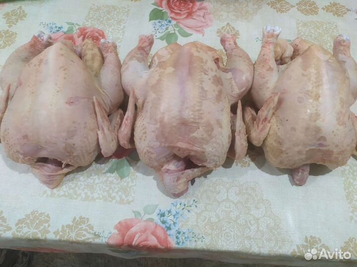 Мясо домашнего бройлера
