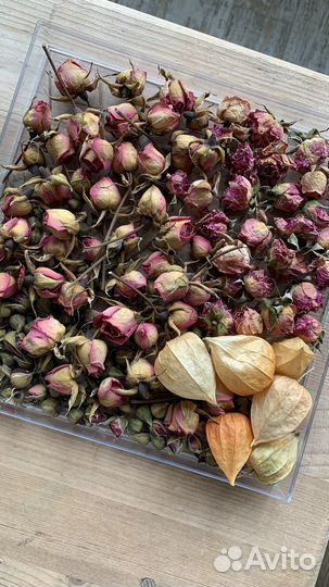 Цветы сухоцветы