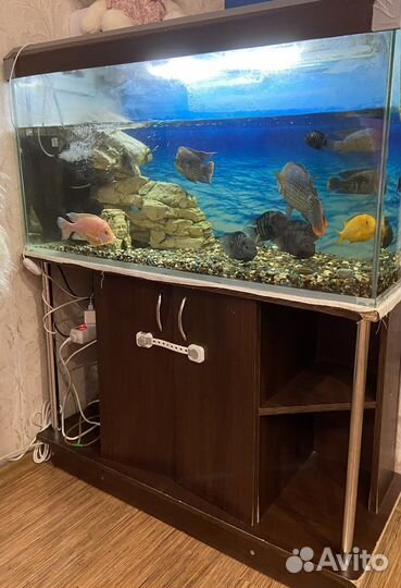 Аквариум