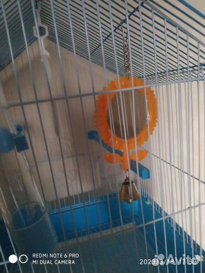 Клетка для попугая