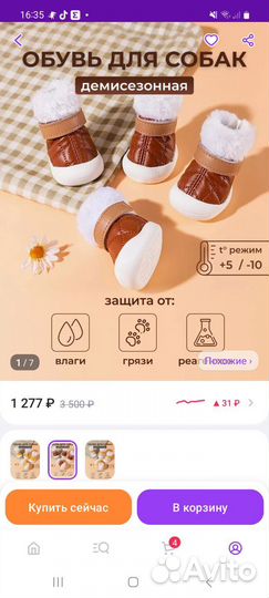 Обувь для маленьких собак