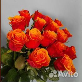 Цветы Розы Букет 25 35 51 101 роза Эквадор