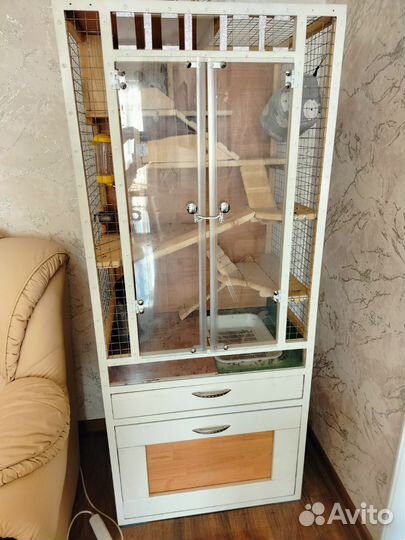 Шиншиллы с клеткой и всем что им необходимо