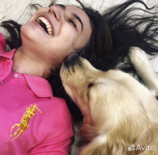 Передержка животных