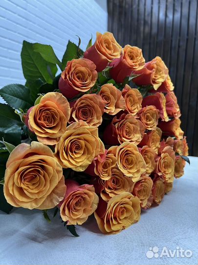 Букет свежих голландских роз