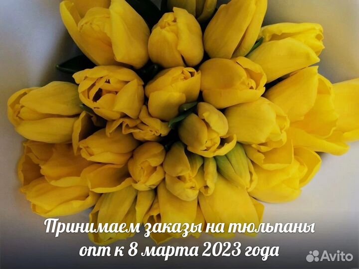 Тюльпаны к 8 марта оптом