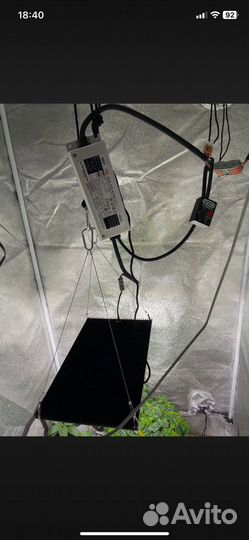 Quantum board 150 B Samsung Lm301h LED Light