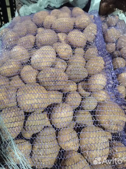 Продам картофель оптом