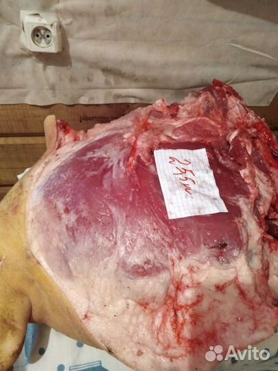 Мясо свинина домашняя