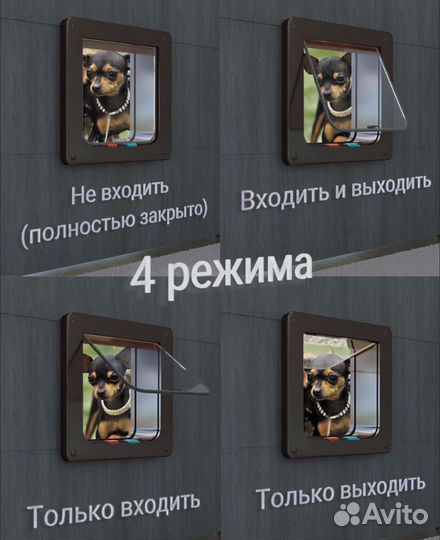 Дверь для кошек и собак