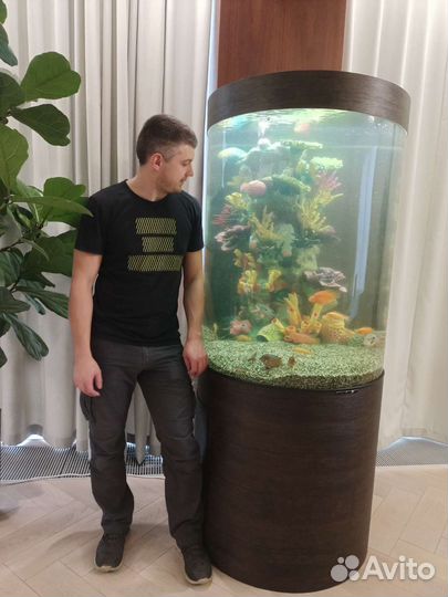 Чистка аквариума, Обслуживание аквариума