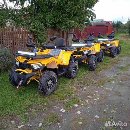 Квадроцикл Motoland Wild X Pro200