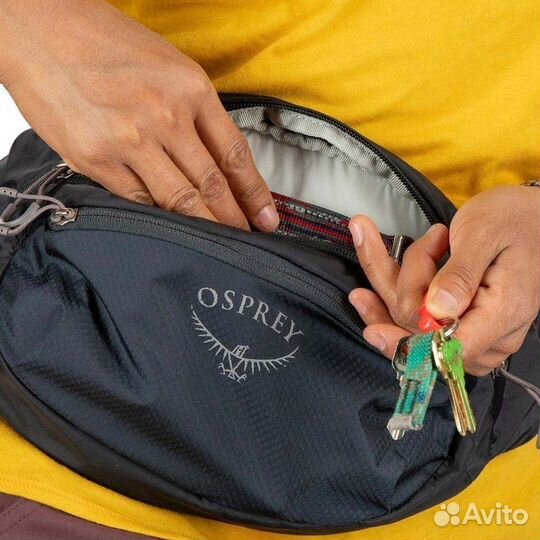 Сумка на пояс Osprey Daylite Waist Pack