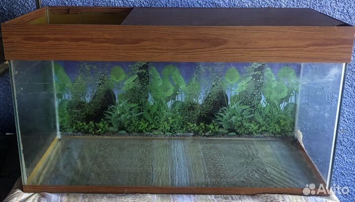 Аквариум бу