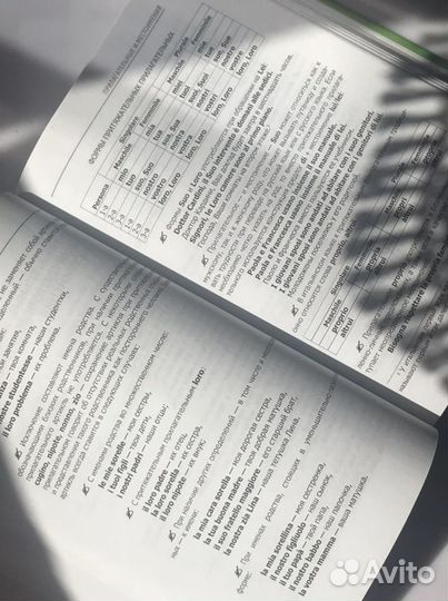 Самоучитель итальянского языка