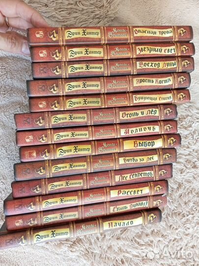 Книги Хантер, Коты-воители, хроники стаи