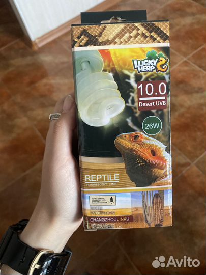 Уф лампа для рептилий