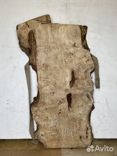 Слэб тополя