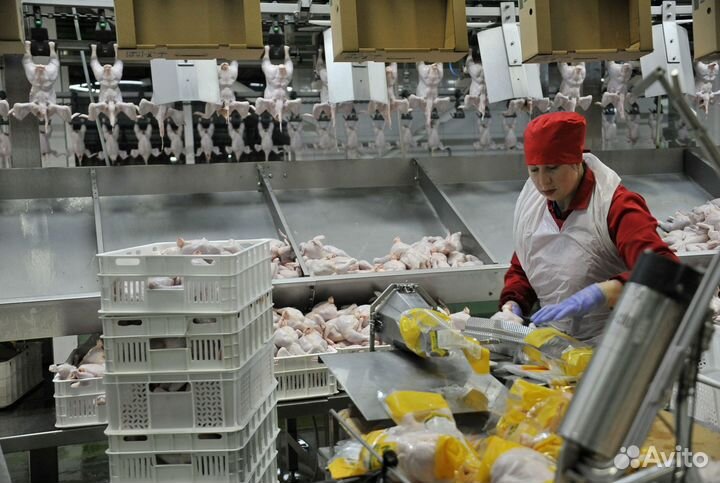 Упаковщик вахтой проживание питание