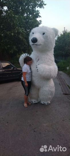 Белый мишка поздравление