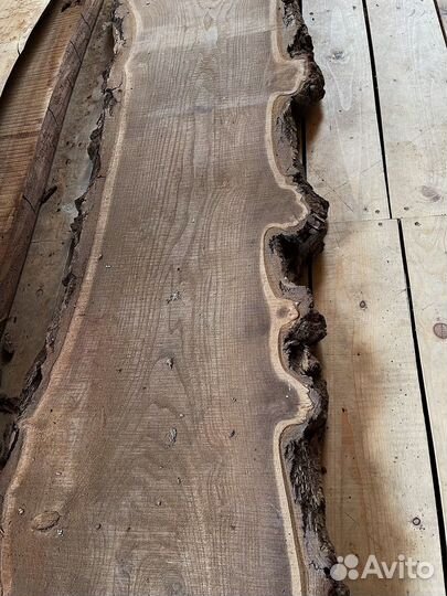 Слэб каповый карагач