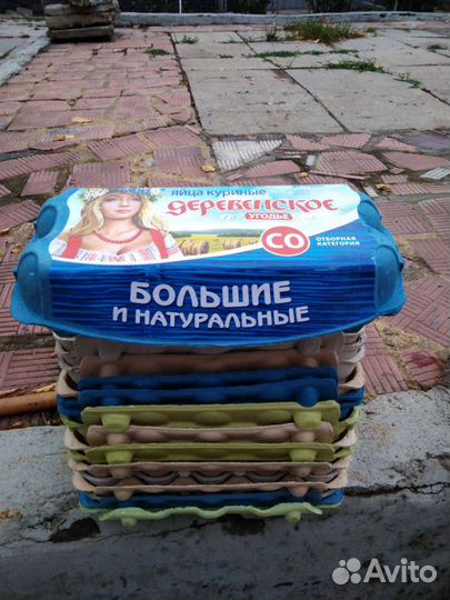 Ячейки для яиц