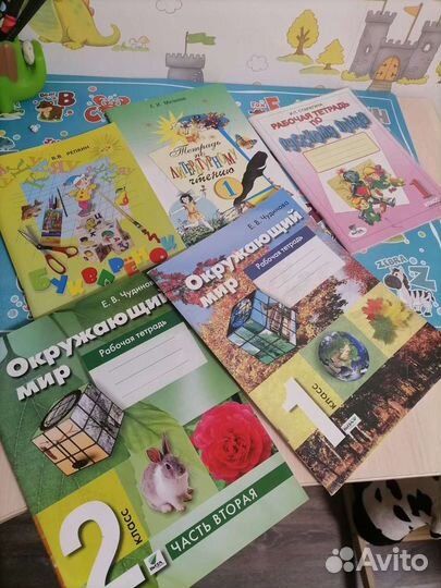 Рабочие тетради, учебники