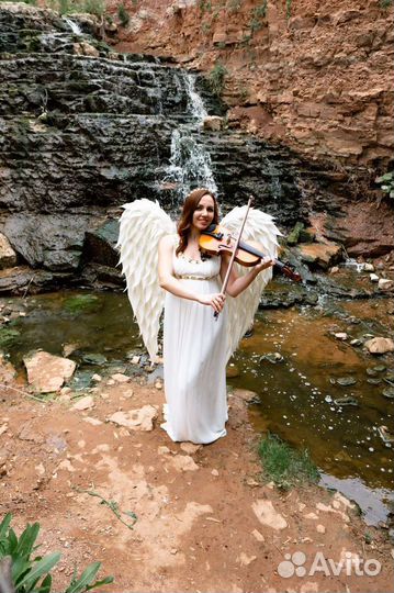 Шоу на свадьбу. Заказать скрипку, живая музыка