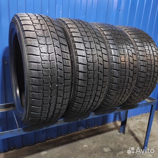 Dunlop Winter Maxx WM02 205/50 R17