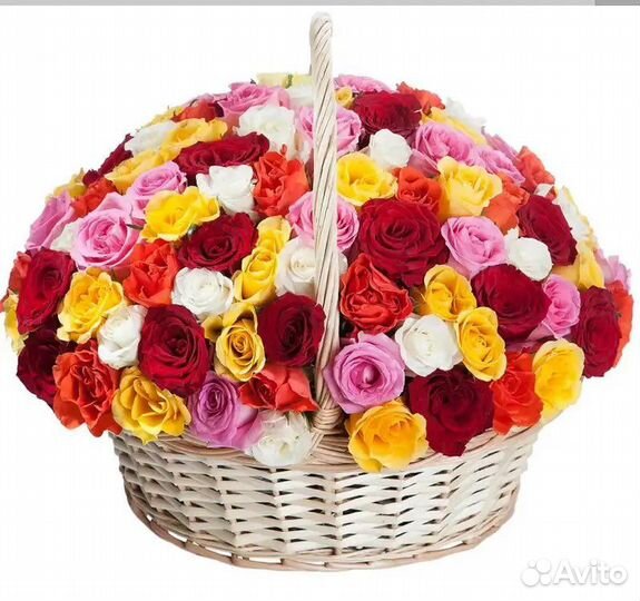 Букет из роз 101 51 25 11 Доставка