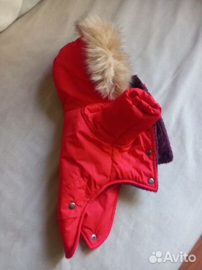 Комбинезон для маленькой собаки девочки