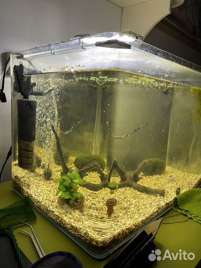Аквариум с фильтром и компрессором