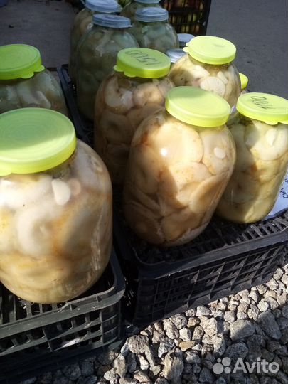 Тыква, грузди солёные, картофель