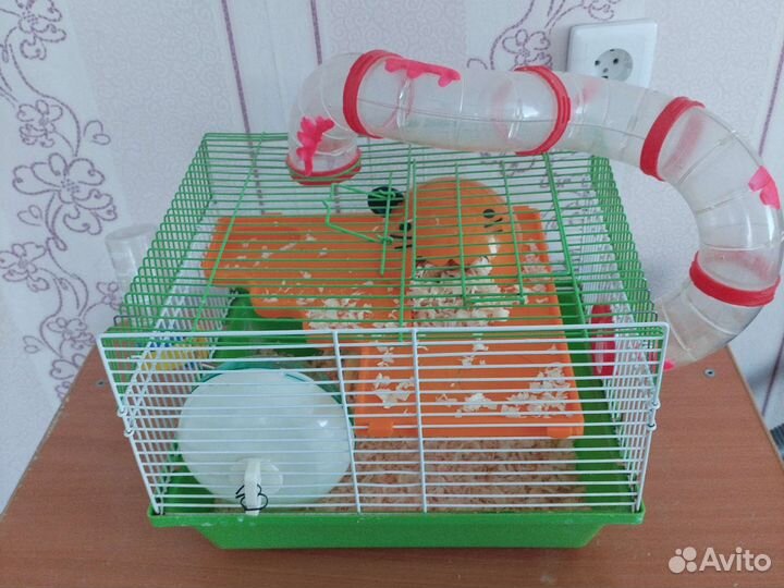 Клетка для грызунов бесплатно отдам