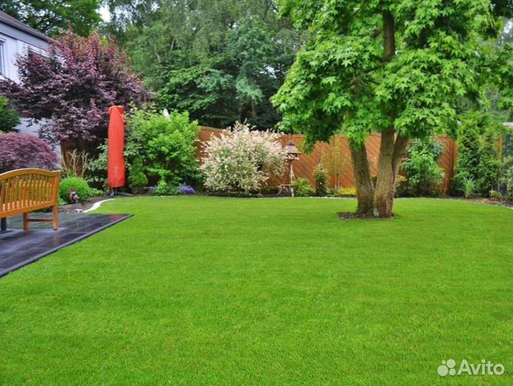 Рулонный газон. 100 гарантия приживаемости
