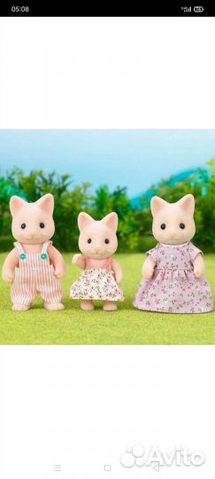 Салливан фэмэли Набор котят