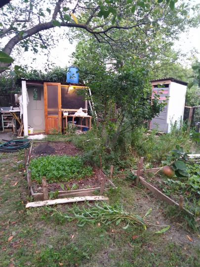 Дача 18 м² на участке 4,9 сот.