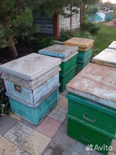 Улей для пчел дадан бу